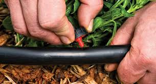Read more about the article Irrigation System Guide (FAQ’s)