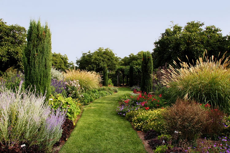 Read more about the article New Landscape Care (FAQ’s)